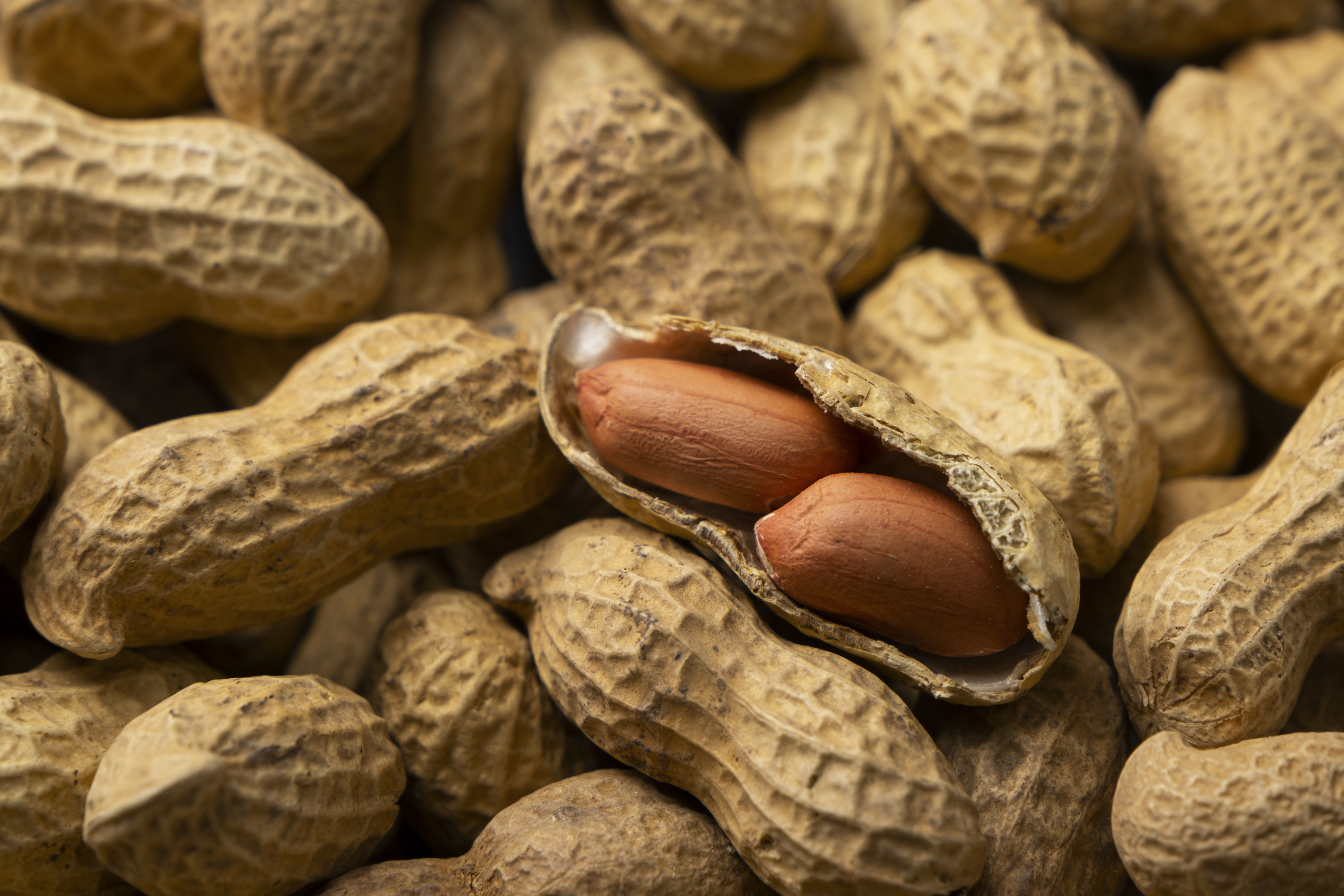 Groundnut Global Demand